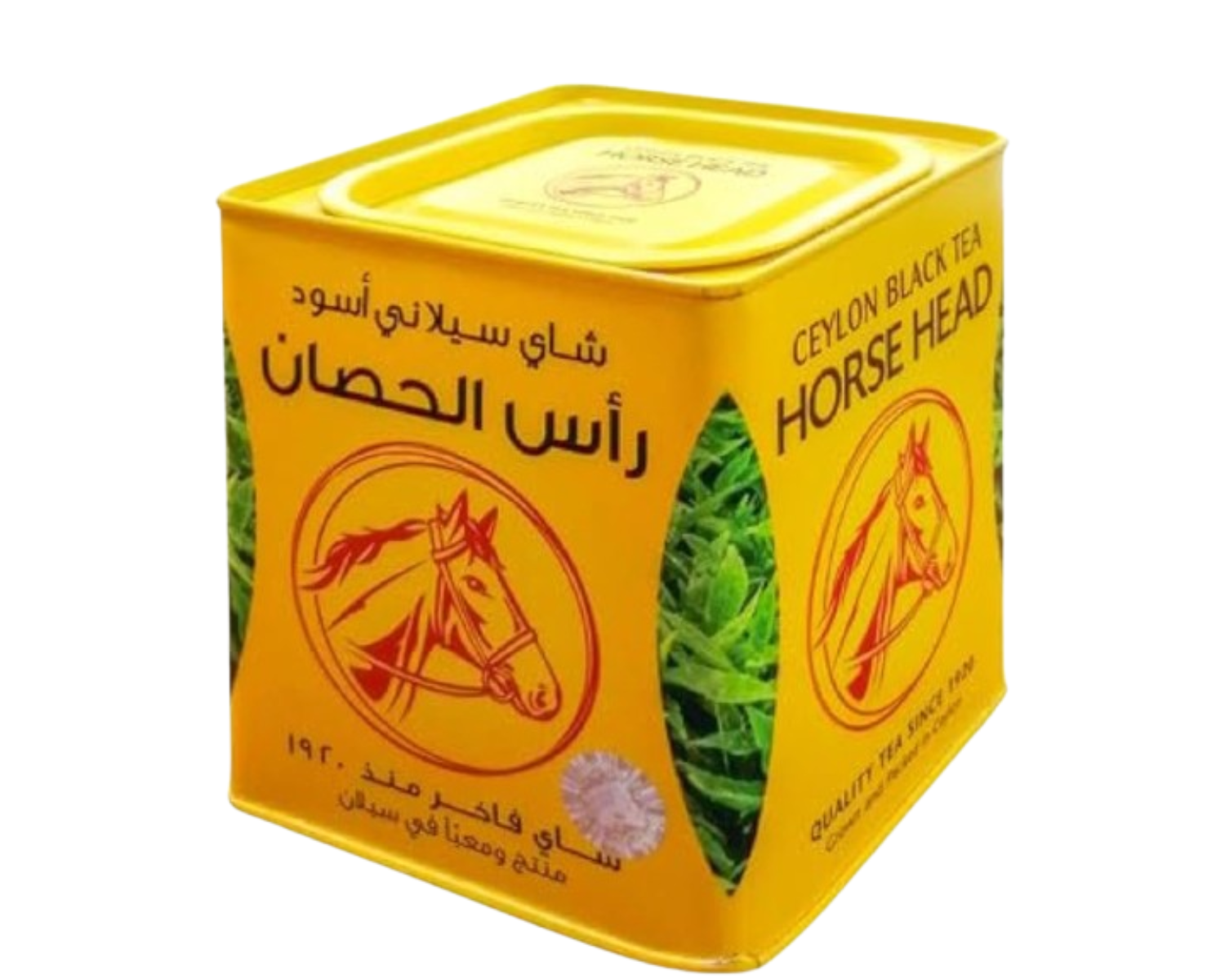 رأس الحصان  300 غرام